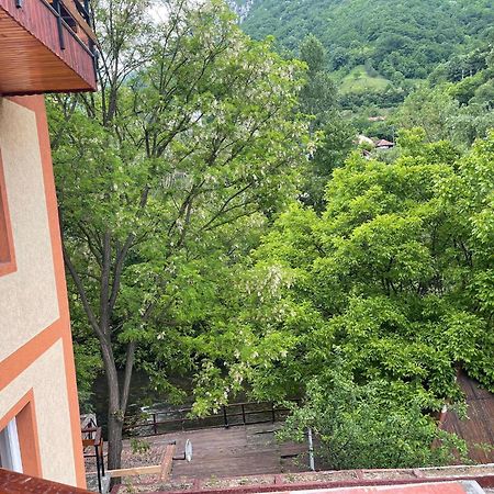 Casa Princess Baile Herculane Ngoại thất bức ảnh